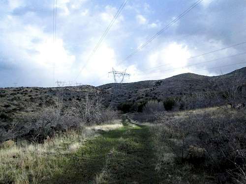 West Cedar Mountain AZ