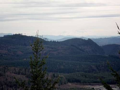 The view south toward Rainier