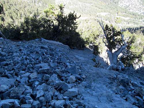 looking down a rocky area