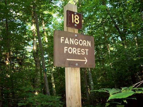 Fanghorn Forest