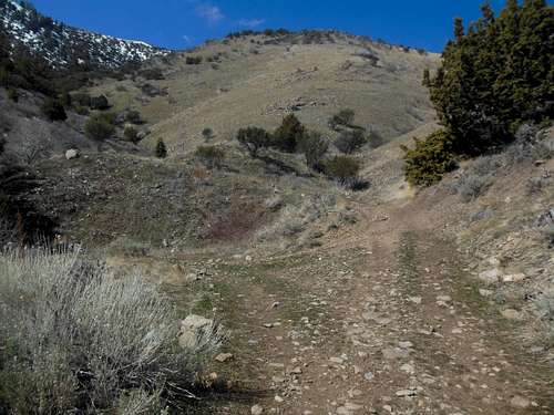 High up on the ATV trail in Miner's Canyon