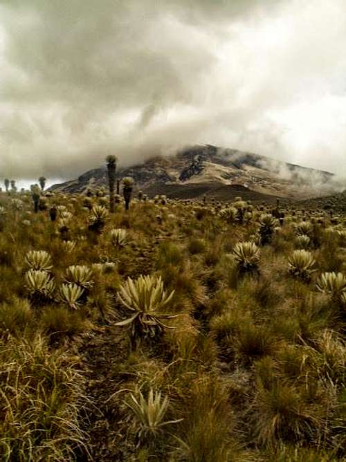North-west face of Nevado del Tolima  behind clouds
