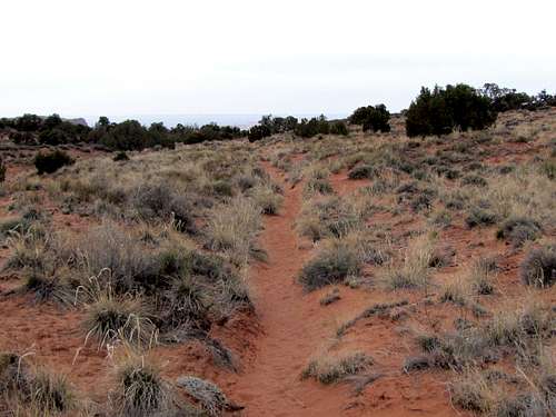 Trail on the surface of Mesa