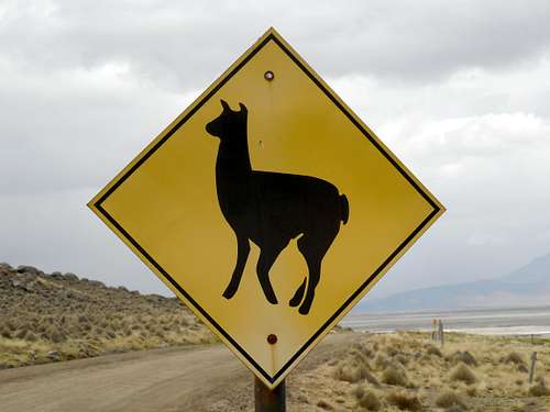 Peruvian Road Sign