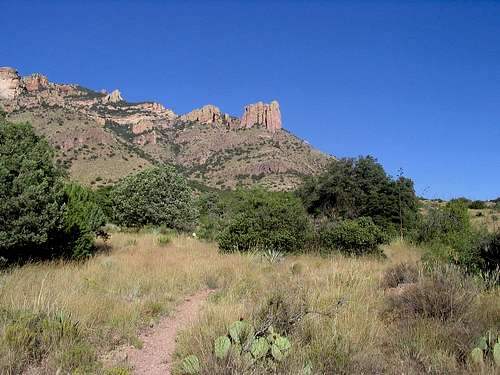 Silver Peak AZ