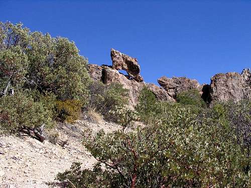 Bassett Peak AZ