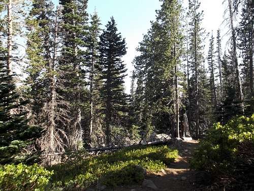 Camp Lake Trail