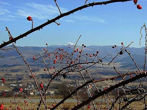 Sneznik massif from the...