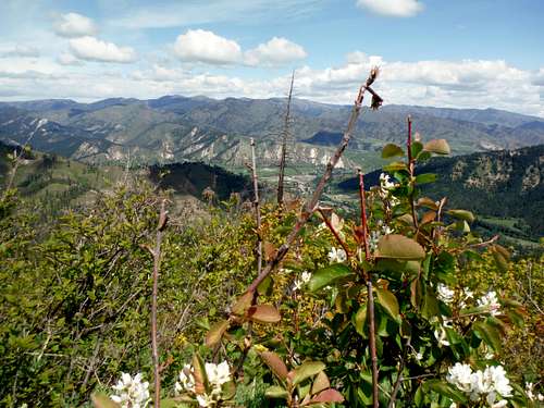 From the summit of Boundary Butte (5/10/14)