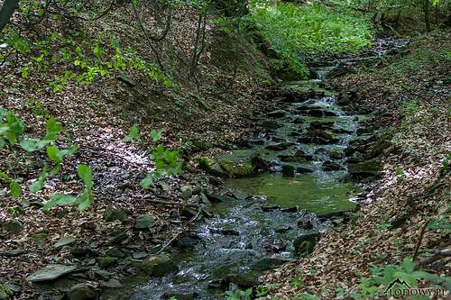 Olchowczyk creek