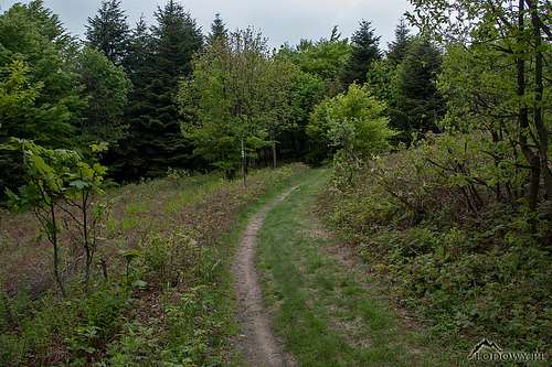 Border trail on Mount Baranie
