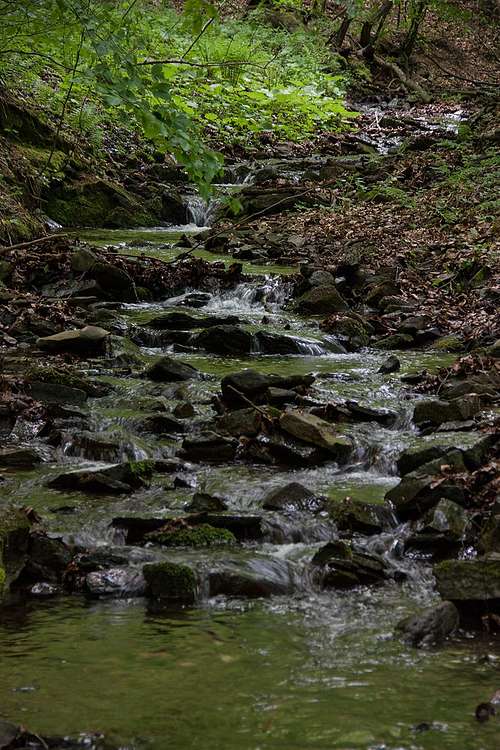 Olchowczyk creek