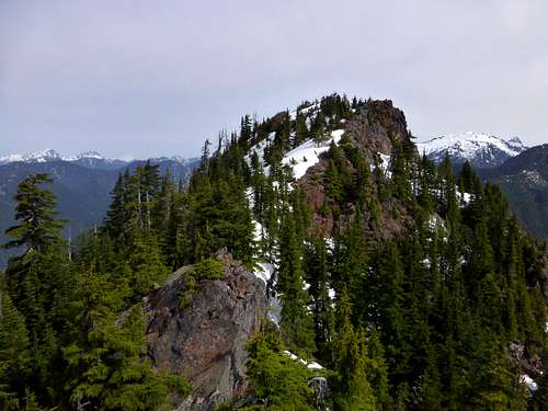 Little Greider Peak summit from the south