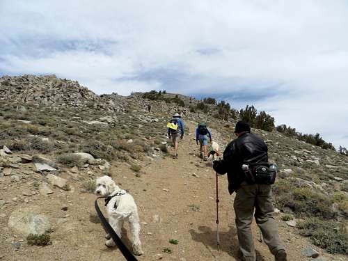 Heading up the final rocky stretch to the summit of Corey Peak