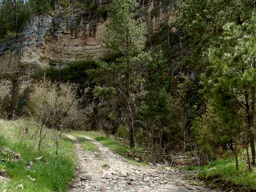 Canyon Road & Streambed