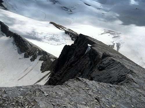 The top of the Schöllihorn S ridge, seen from the summit
