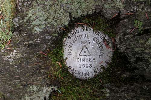 Mount Gibbes Benchmark