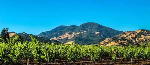 California  Wine County