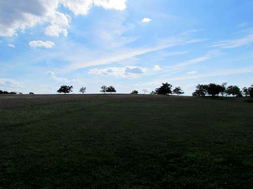 Meadows in Shenandoah Ntl Park, VA