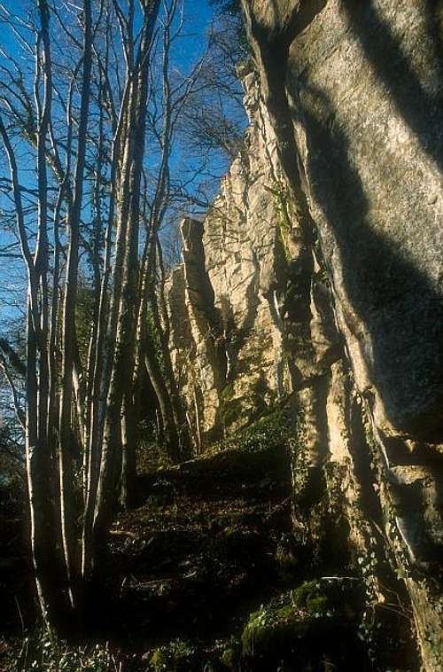 Uncey Le Franc cliff.
 March...