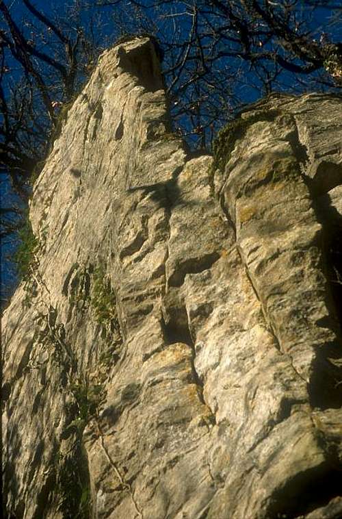 Uncey Le Franc cliff.
 March...