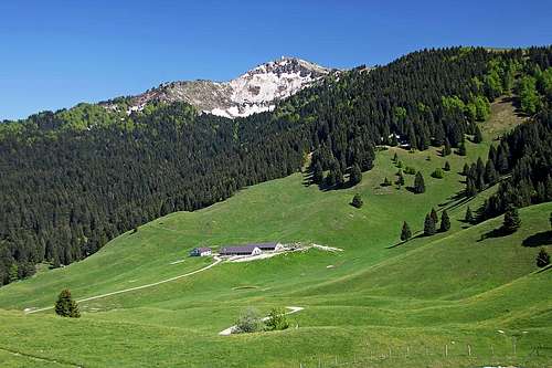 Monte Grappa summit from the NW