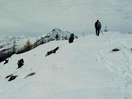 77 Routes in 7 Valleys by Snow Shoes Comagne 2002