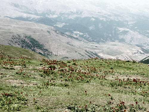 Tilar summit (Talesh-guilan)