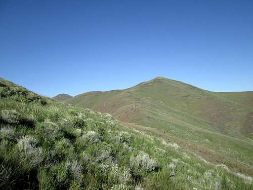 Tholen Benchmark Peak (NV)