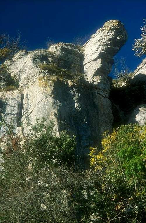 Saffres cliff.
 2001.