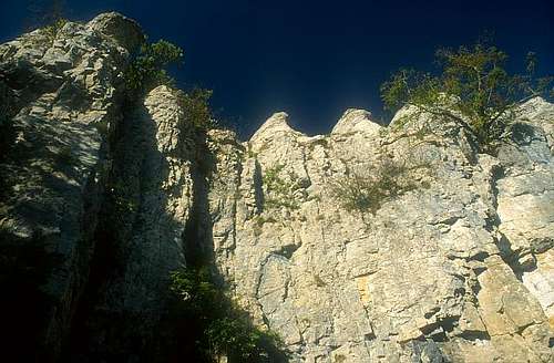 Saffres cliff.
 2001.