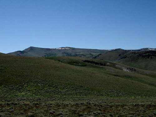 Stewart Benchmark Peak area