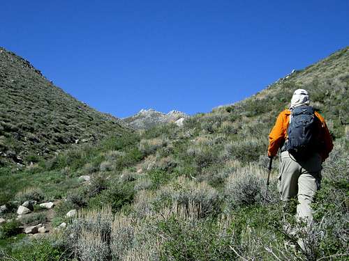 Heading up an eastside gully