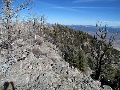 the summit ridge area of Telegraph