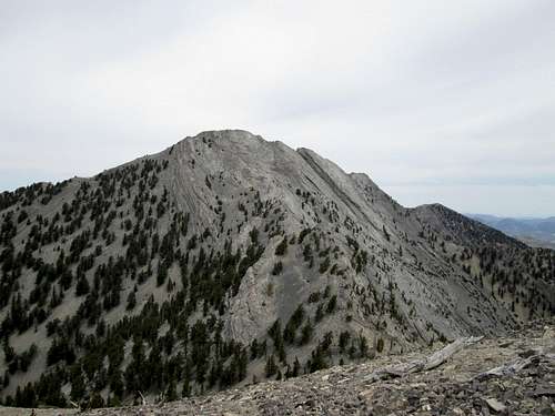 Currant Mountain,  a Nevada gem