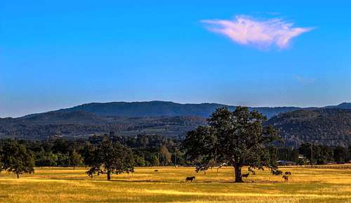 Big meadow and Boggs Mtn.