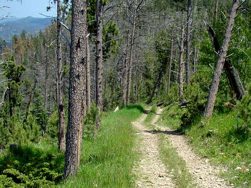 Bear Mountain Upper Trail