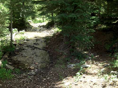 Bull Mountain Long Creek-crossing