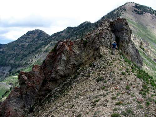 Provo Ridge outcrop