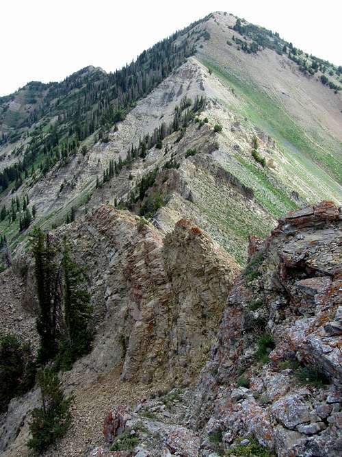 Provo Ridge & East Provo Peak