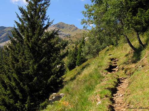 The trail (T3) between Mornera and Albagno