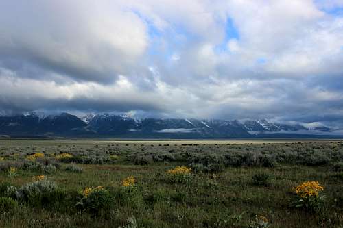 Tetons in clouds and buffalo