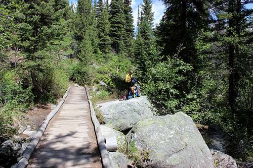 Lupine Meadows Creek