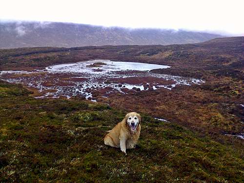 Scottish Highlands December 2013: A long walk with Jake