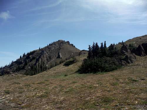 The summit of Tyler Peak