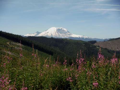 Mt. Rainier from the trailhead