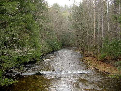 Cataloochee Creek, near the...