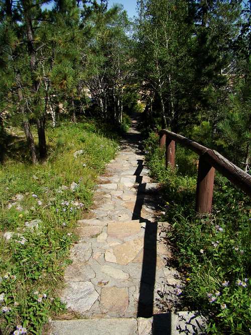 Terry Peak Summit Walkway