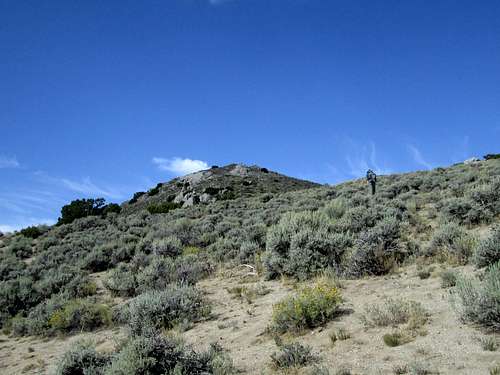 Heading for the summit