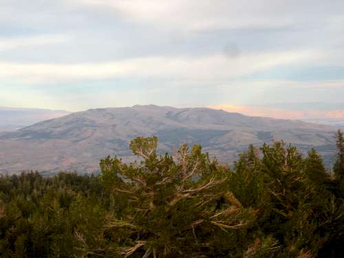 Peavine as Seen From Babbitt Peak